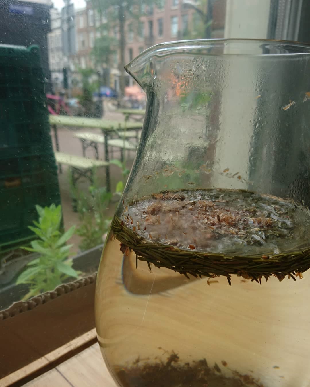 Herbal tea steeping by the window at dusk