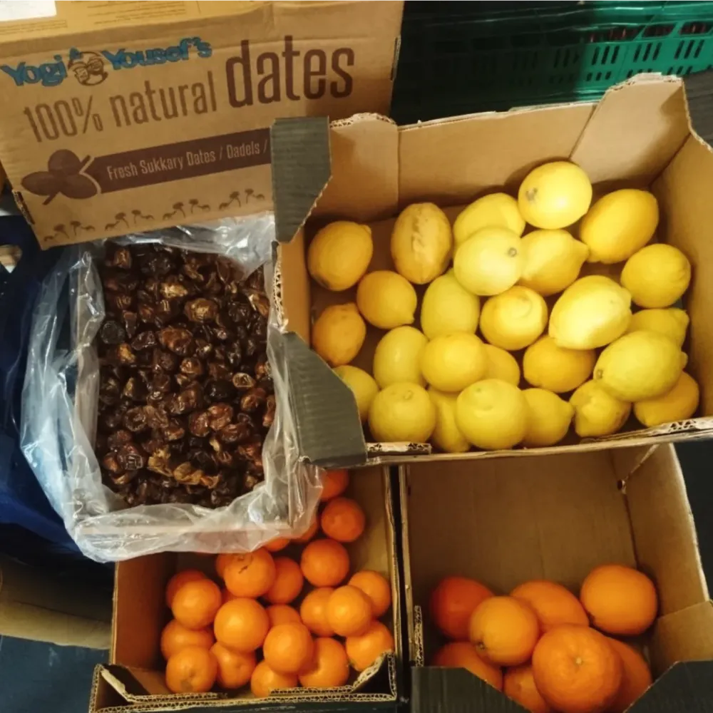 Crates of fresh dates, lemons, and oranges